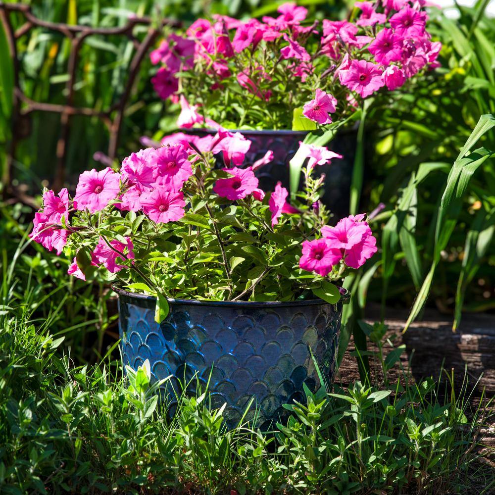 Dinah Navy Glaze Metal Indoor/Outdoor Planter Set