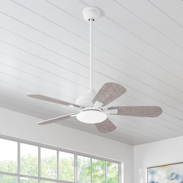 Benson 44 in. LED White Ceiling Fan with Light and Remote Control