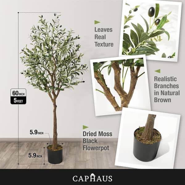 CAPHAUS 5 ft. Green Artificial Olive Tree, Faux Plant in Pot, Faux Olive Branch and Fruit with Dried Moss for Indoor Home Office