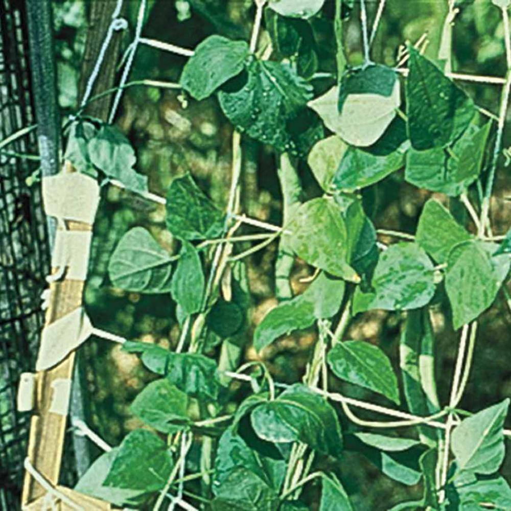 5 ft. x 15 ft. Vegetable Growing Support Trellis price history on PriceWatchPro