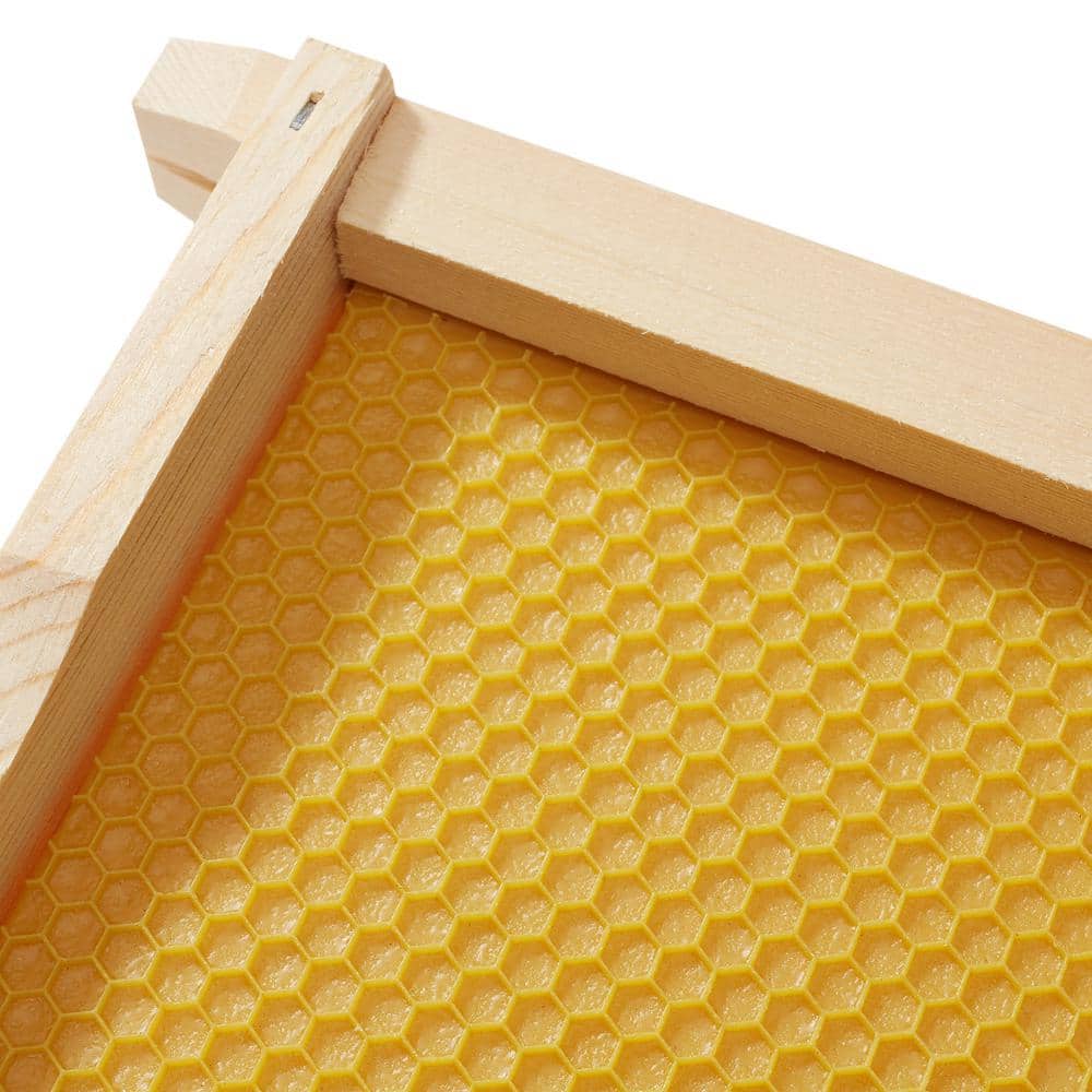 Honey Keeper 10-Pack Natural Waxed Beehive Frames with Wooden Construction