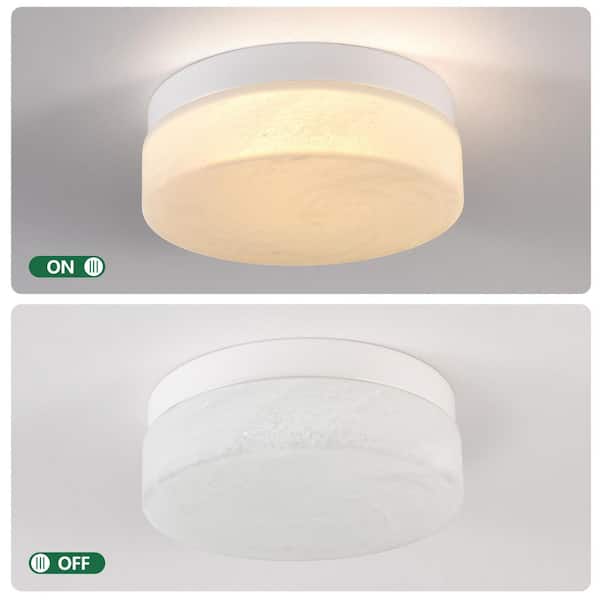 Basdien 14 in. White Closet Light LED Flush Mount Ceiling Light