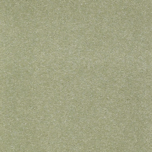 Platinum Plus Carpet Sample - Enraptured II - Color Dune Drift Texture 8 in. x 8 in.