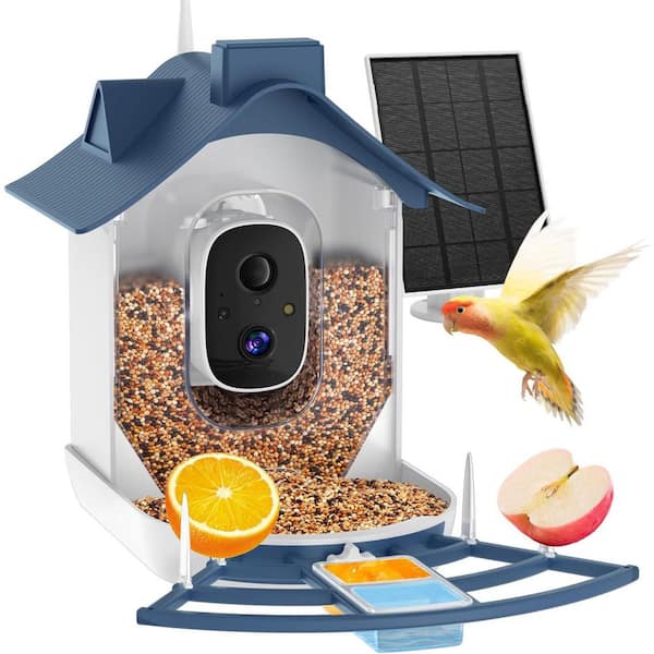4K HD AI Bird Feeder with Camera Adjustable Solar Powered Auto Capture Notify Ideal for Bird Lovers