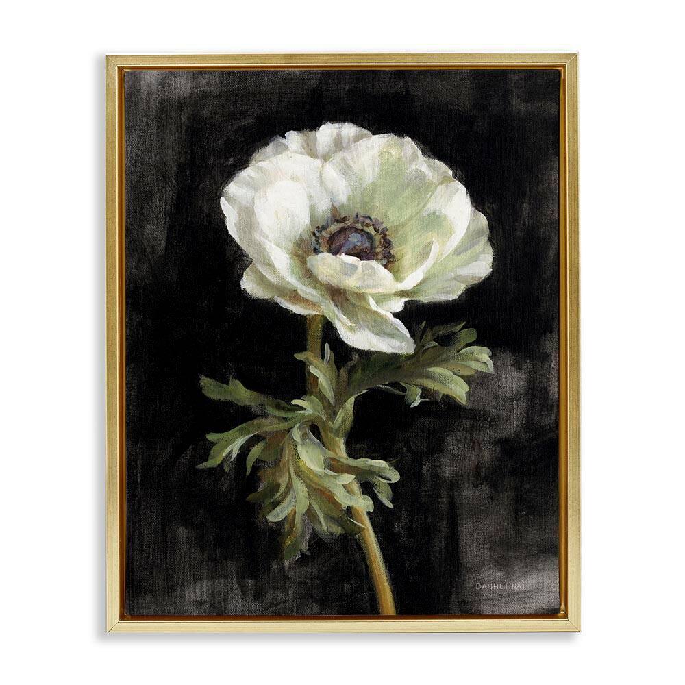 Anemone on Black by Danhui Nai Gold Floater Frame Nature Graphic Art Print 21 in. x 17 in. price history on PriceWatchPro