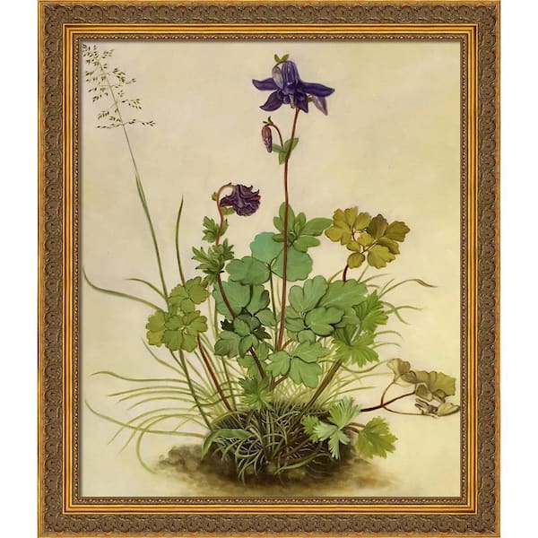 LA PASTICHE Columbine with Baroque Antique Gold Frame by Albrecht Durer Framed Art Print Wall Art 24 in. x 28 in.