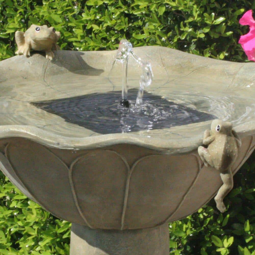 Olive Green Concrete Solar Birdbath with Frog Design