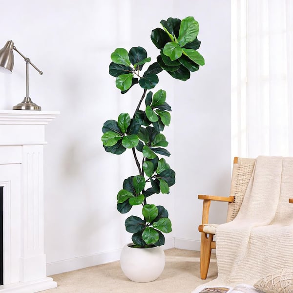 artificial heart leaf philodendron Scandens Oxycardium | Sweetheart Philodendron