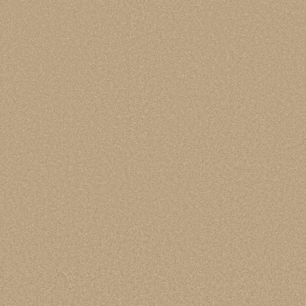 Park Royal - Color Pebble Beige 52 oz. Nylon Texture Installed Carpet