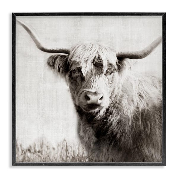 Stupell Industries Black and White Highland Cow by Danita Delimont Black Framed Animal Giclee Art Print 12 in. x 12 in.