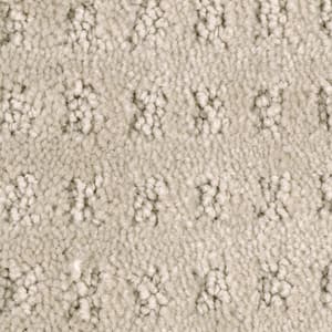 8 in. x 8 in. Texture Carpet Sample - Canter -Color Twig