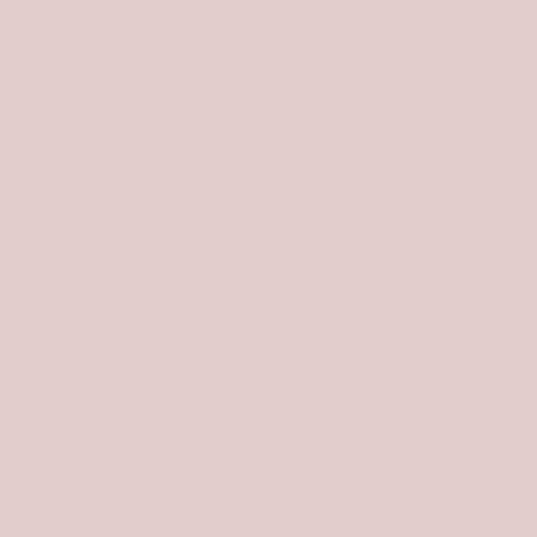 Rust-Oleum Chalked Blush Pink Ultra Matte 30 Oz. Chalk Paint - Power  Townsend Company