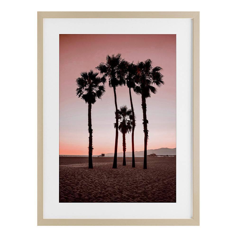 Stanta Monica Palms Pink by Natalie Carpentieri 1 Piece Birch Under Glass Framed Graphic Art Print 20 in. x 14 in. price history on PriceWatchPro