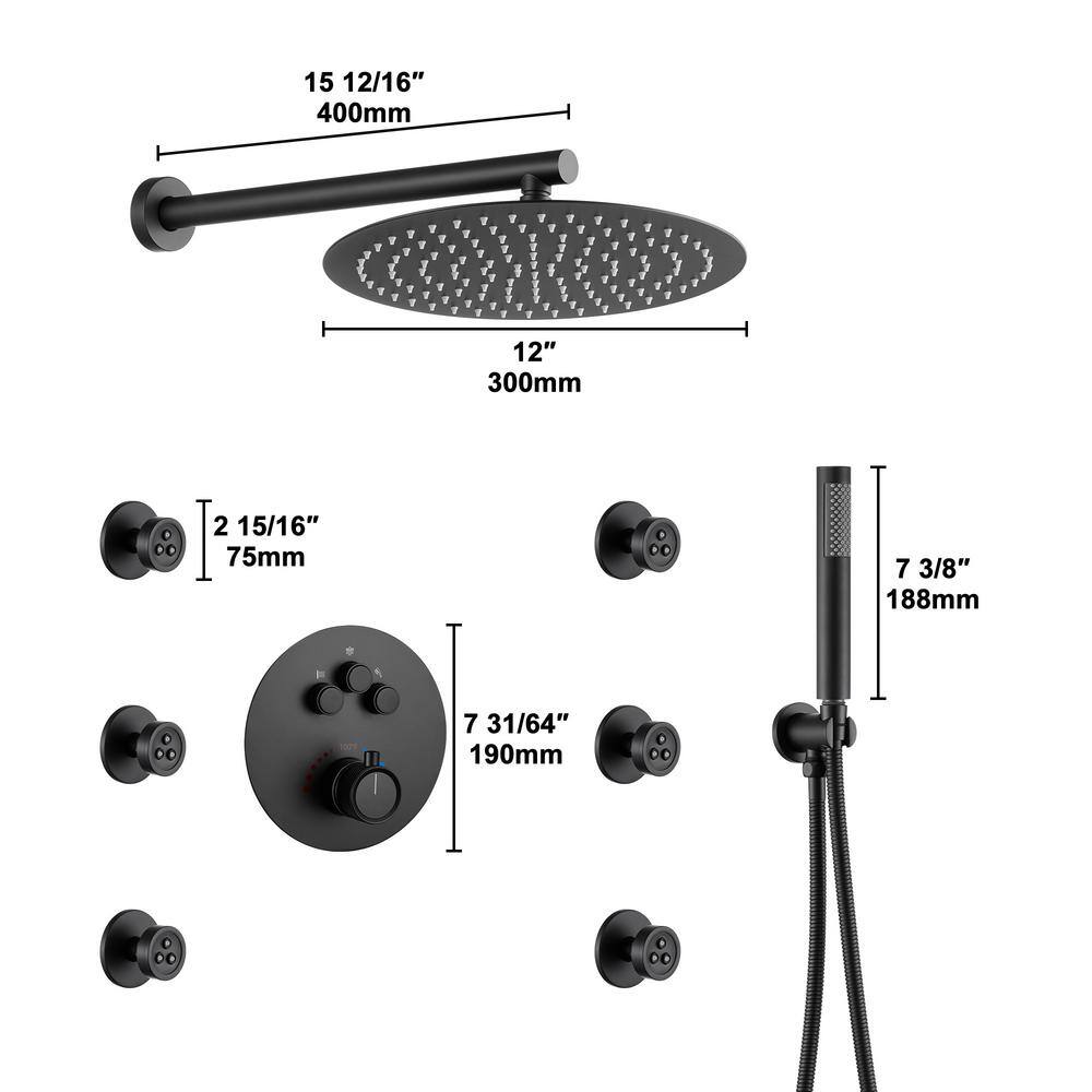 Matte Black Stainless Steel Thermostatic Rain Shower System with Handheld