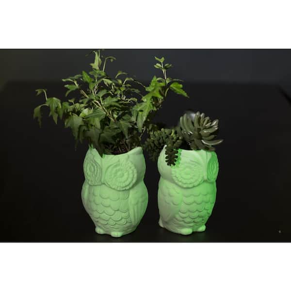 10 oz. Glow in the Dark Spray Paint (6-Pack)