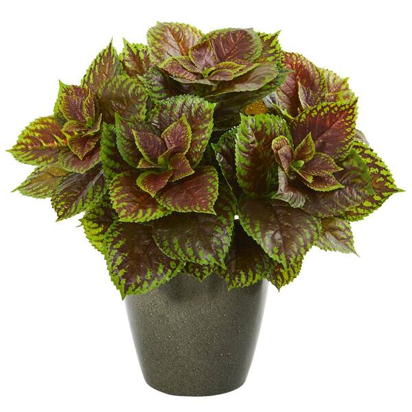 Nearly Natural 20 in. Coleus Artificial Plant in Green Planter (Real Touch)
