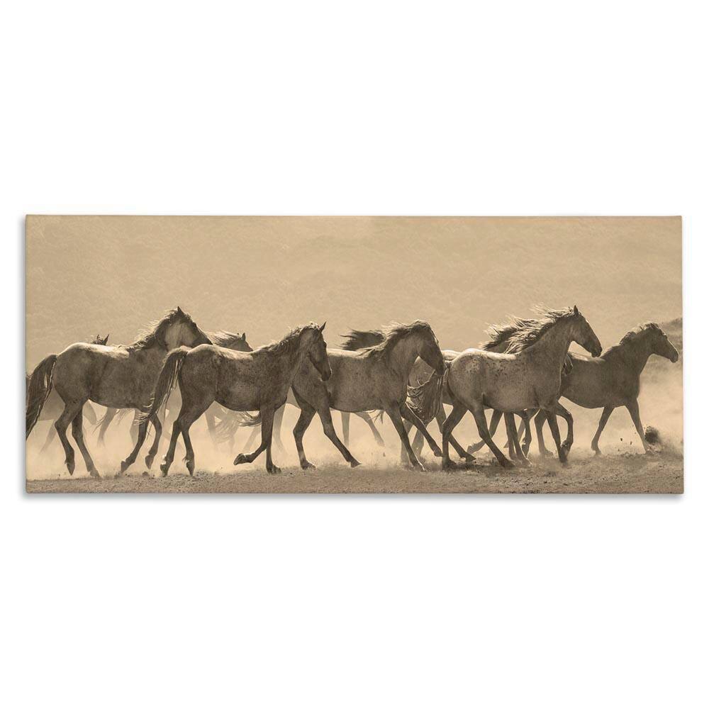 Western Horses Gallop by JG Studio Unframed Animal Graphic Art Print 20 in. x 48 in. price history on PriceWatchPro