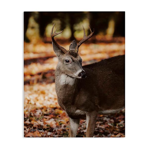 Stupell Industries Deer in Fall Foliage by Dakota Diener Unframed Graphic Animal Art Print 40 in. x 30 in.