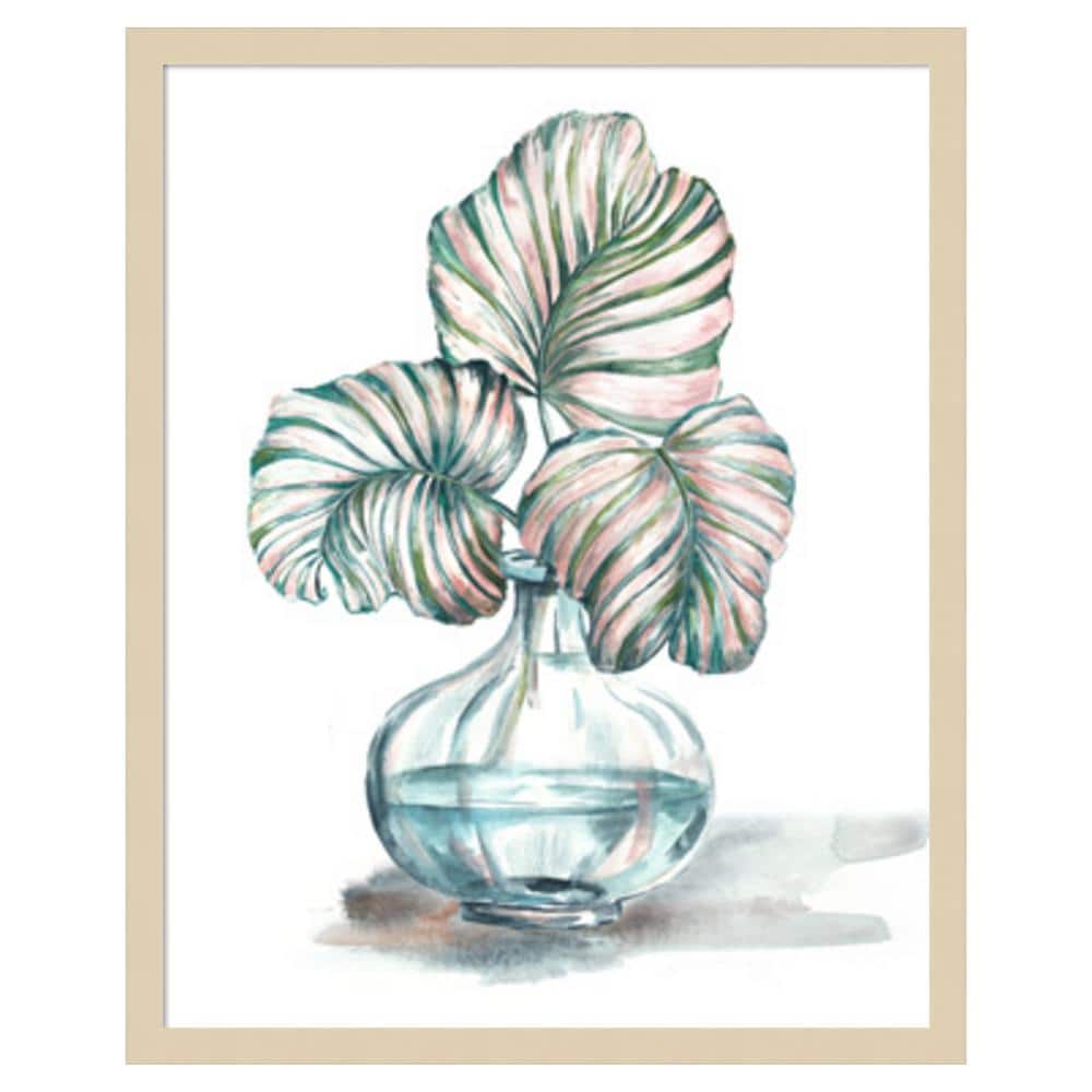 Island Tropics Frond in Bottle IV by Tre Sorelle Studios 21 in. W x 25 in. H. Wood Framed Wall Art Print Framed in Brown price history on PriceWatchPro