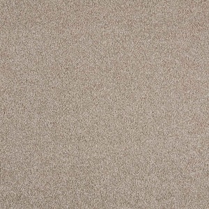 Tides Edge - Sand Thistle Brown 50 oz. Triexta PET Texture Installed CarpetCarpet