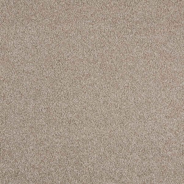 Tides Edge - Sand Thistle Brown 50 oz. Triexta PET Texture Installed CarpetCarpet