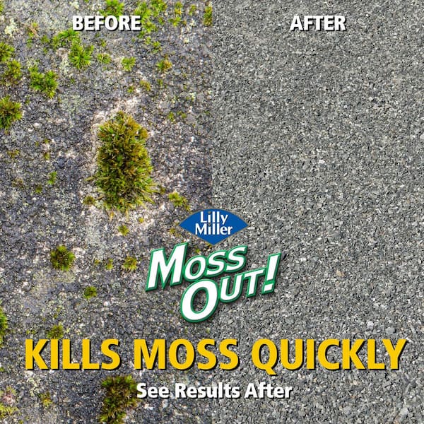 Lilly Miller Moss Out Moss Killer RTU Liquid 54 oz