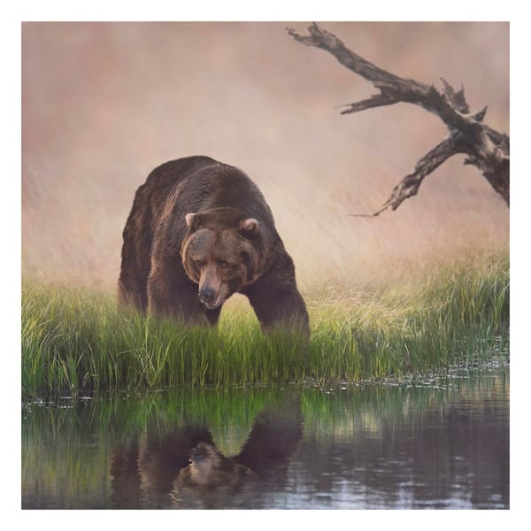1 Piece Unframed Animal Art Print 40 in. x 40 in.