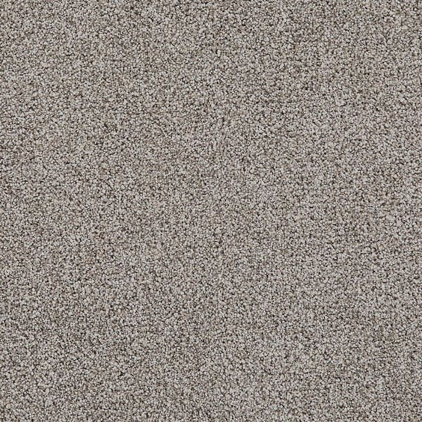 Velvetine III-Jewel Brown-75 oz. SD Polyester Texture Carpet - Installation Required