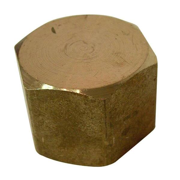 Sioux Chief 1/8 in. Lead-Free Brass FPT Cap