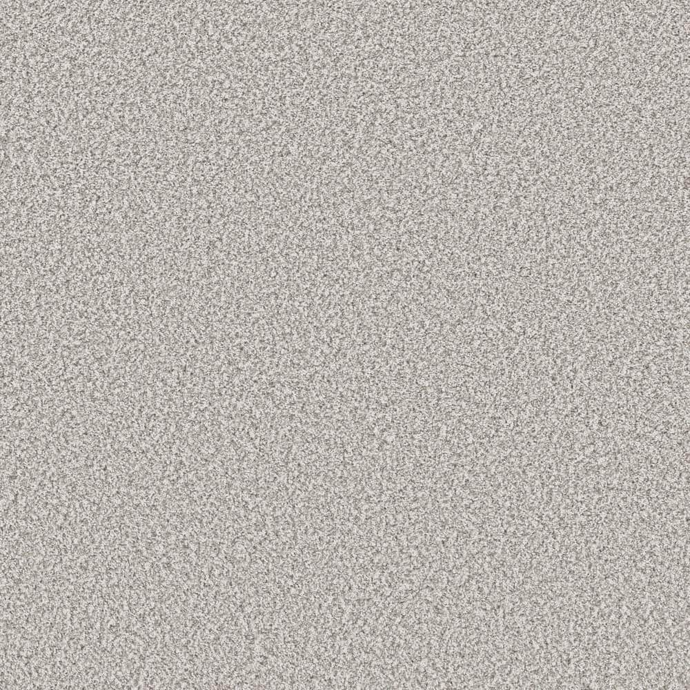 8 in. x 8 in. Texture Carpet Sample - Piece of Cake - Color Skyline price history on PriceWatchPro