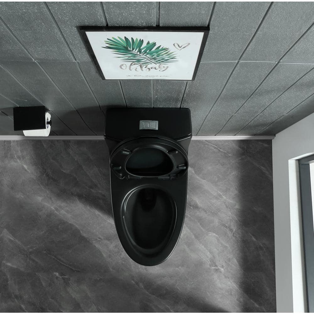 Matte Black Ceramic Dual-Flush Elongated One-Piece Toilet