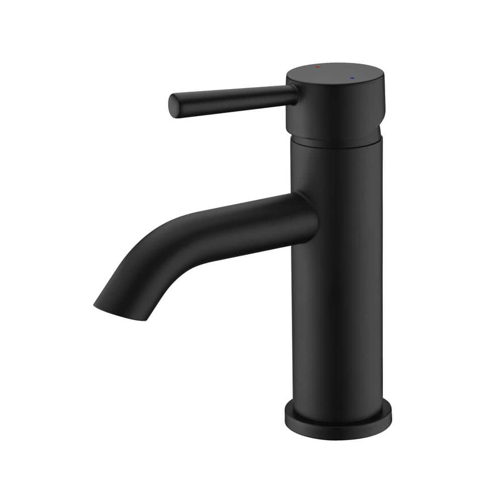 Matte Black Single-Handle Bathroom Faucet with Drain Assembly