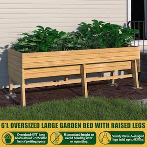 71 in. L x 31 in. W Large Wooden Raised Garden Bed Outdoor with Legs and Liner, Natural