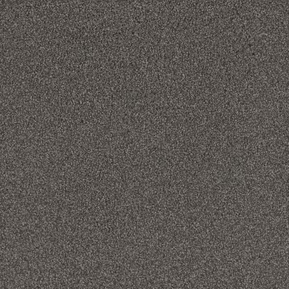 8 in. x 8 in. Texture Carpet Sample-Meringue II-Color Sugar Whirl price history on PriceWatchPro