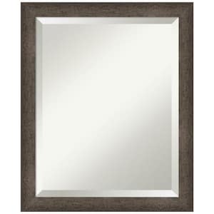 Dappled Light Bronze Narrow 18.75 in. x 22.75 in. Beveled Modern Rectangle Wood Framed Wall Mirror in Bronze