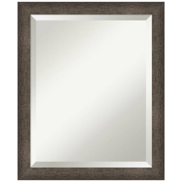 Light Bronze Rectangular Frame Amanti Art Dappled Light Bronze Narrow 18.75 in. x 22.75 in. Beveled ...