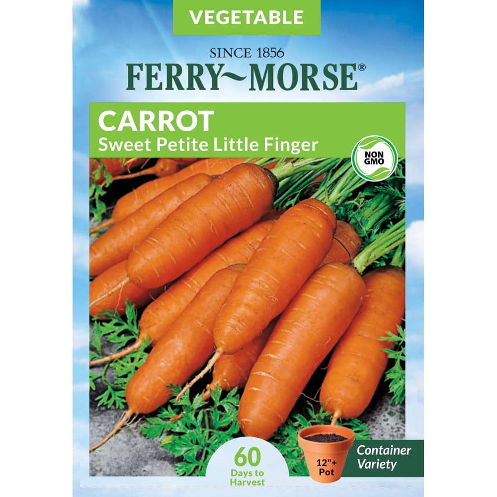 Ferry-Morse Carrot Petite Sweet Little Finger Vegetable Seed 0828