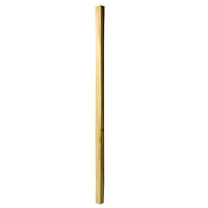 36 in. x 2 in. Pressure-Treated Southern Yellow Pine Wood Square End Baluster