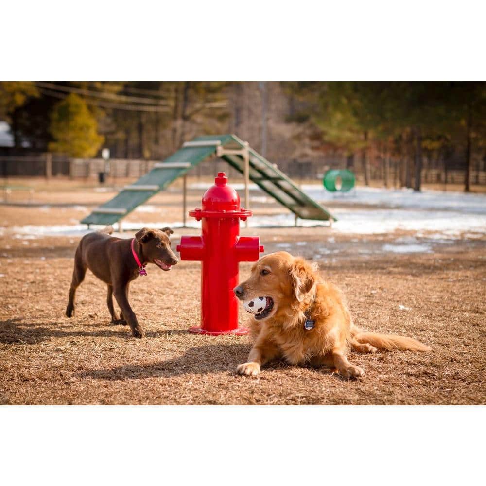Red Plastic Surface Mounted Fire Hydrant for Dog Parks