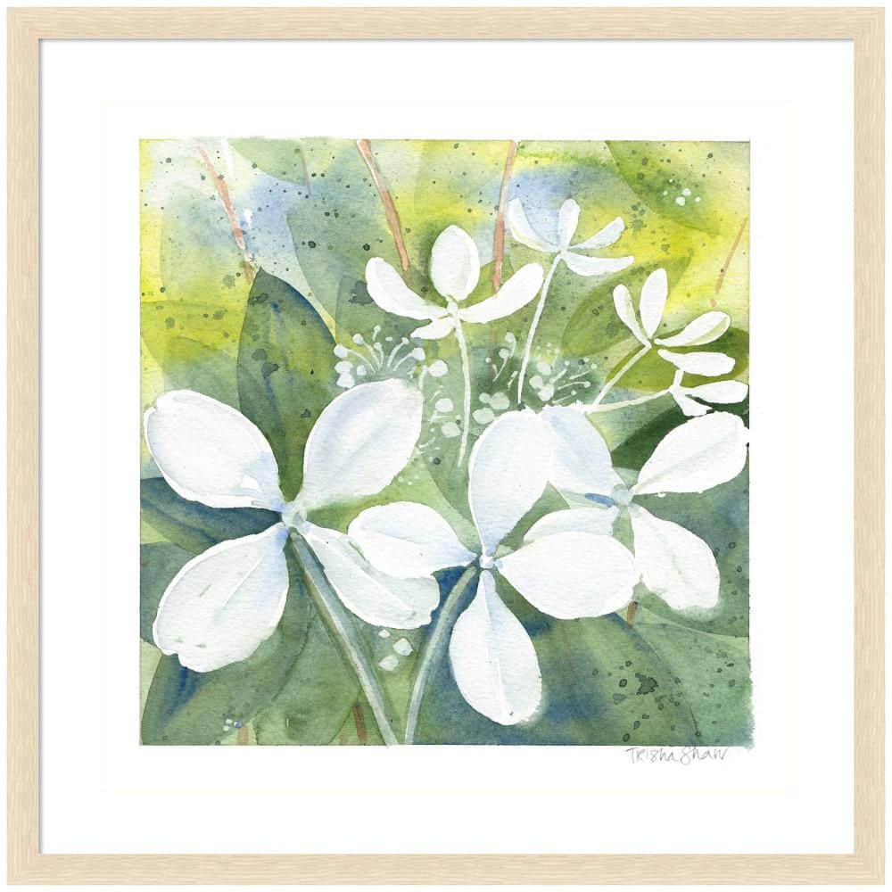 "Woodgrain ""White Phantom Hydrangea in Greens"" by Patricia Shaw Flowers Framed Art Print 34 in. x 34 in." price history on PriceWatchPro