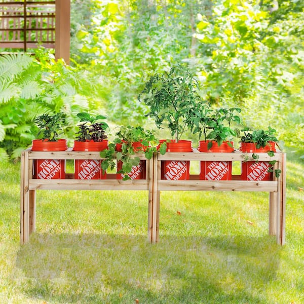 84 in. x 16 in. x 30 in. 6-Bucket Elevated Unfinished Wood Cedar Garden Frame Raised Beds