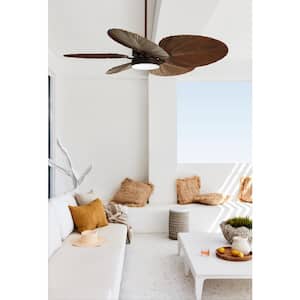 Bali 52 in. Indoor/Outdoor Oil Rubbed Bronze and Dark Koa Blades DC Ceiling Fan with Remote Control Light