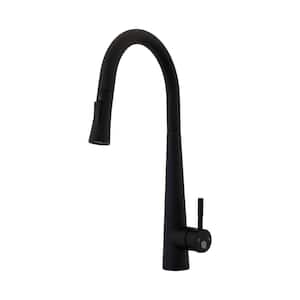 Durrani Single Handle Pull-Down Sprayer Kitchen Faucet in Matte Black