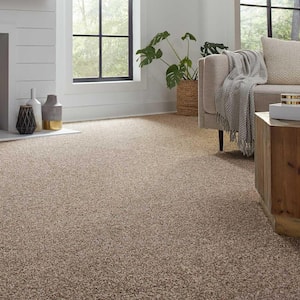 Barx II  - Desert Sun - Beige 56 oz. Triexta Texture Installed Carpet
