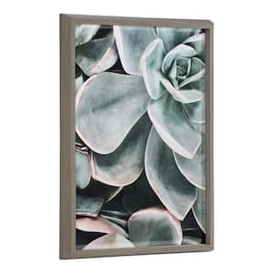 Blake Botanical Succulent Plants 2 by The Creative Bunch Studio Framed Printed Glass Nature Wall Art 24 in. x 18 in.
