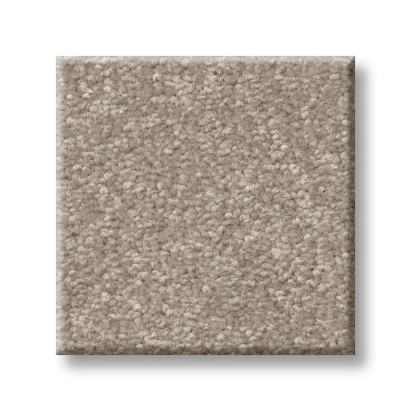 Lifeproof 8 in. x 8 in. Texture Carpet Sample - Blakely II -Color Verbena