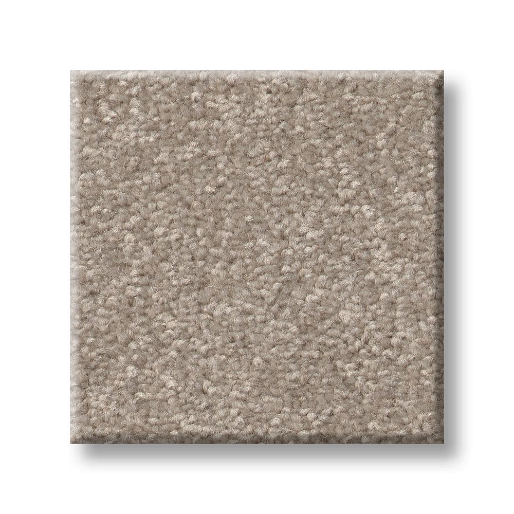 8 in. x 8 in. Texture Carpet Sample - Blakely I -Color Verbena price history on PriceWatchPro