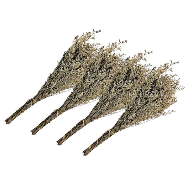 21 in. Natural Brown Indoor Non Artificial Dried Preserved Valentin Grass-Pack of 4
