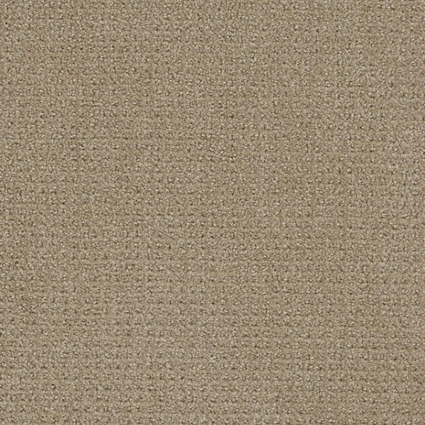 TrafficMaster Tailgate Classic - Triumph - Beige 28 oz. SD Polyester Pattern Installed Carpet
