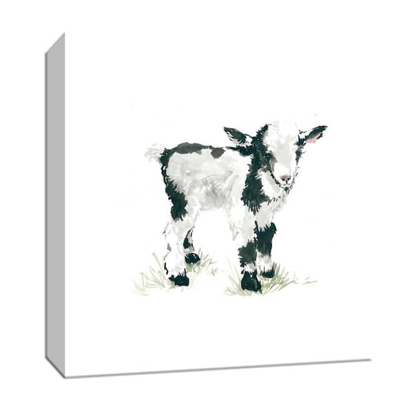 PTM Images 15 in. x 15 in. "Baby Goat'' Canvas Wall Art
